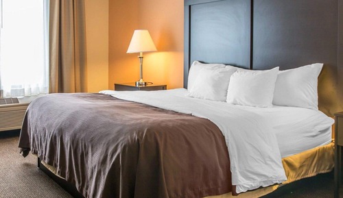 Standard Room, 1 King Bed with Sofa bed, Accessible, Non Smoking (Roll-In Shower)