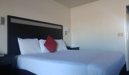 Standard Room, 1 King Bed, Non Smoking (Jacuzzi )
