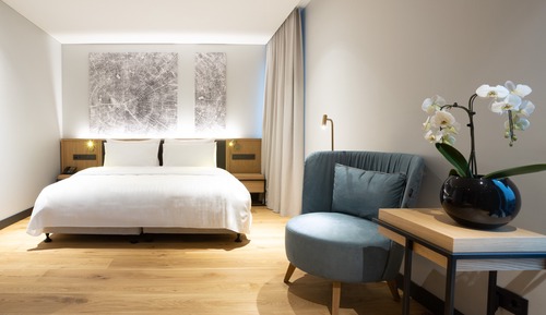 Deluxe Double or Twin Room, 1 Bedroom, Non Smoking