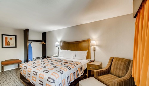 Standard Room, 1 King Bed