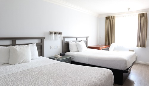 Standard Room, 2 Queen Beds