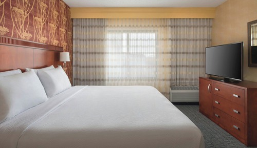 Suite, 1 King Bed with Sofa bed