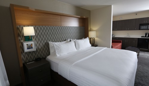 Suite, 1 King Bed