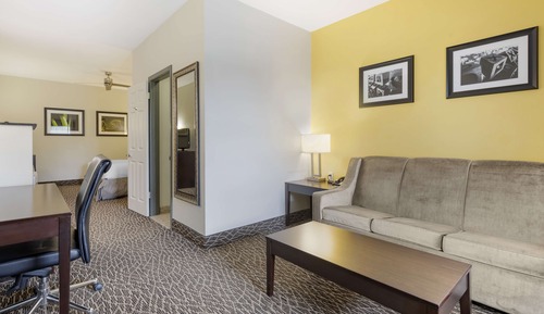 Suite, 1 King Bed, Non Smoking, Refrigerator (with Sofabed)