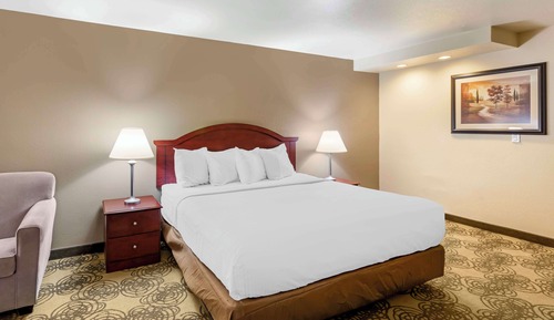 Family Room, 1 King Bed, Non Smoking, Refrigerator & Microwave (with Sofabed)
