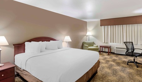Standard Room, 1 King Bed, Non Smoking, Refrigerator & Microwave