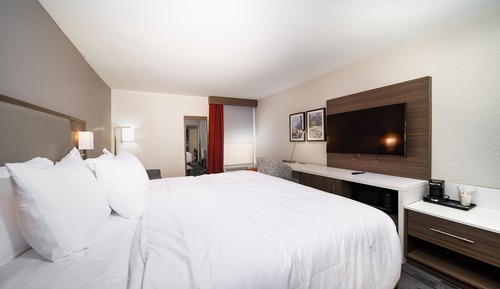 Room, 1 Queen Bed, Accessible, Non Smoking (Mobility Accessible w/ Roll in Shower)