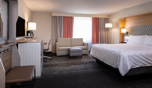 Standard Room, 1 King Bed with Sofa bed