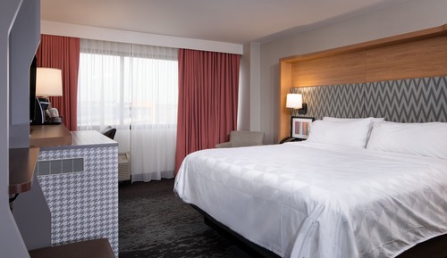 Suite, 1 Bedroom