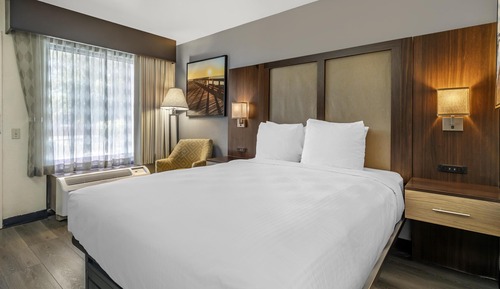 Standard Room, 1 Queen Bed, Accessible, Refrigerator & Microwave (Pet Friendly)