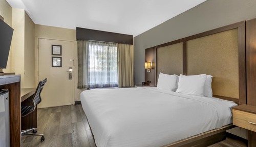 Standard Room, 1 King Bed, Smoking, Microwave
