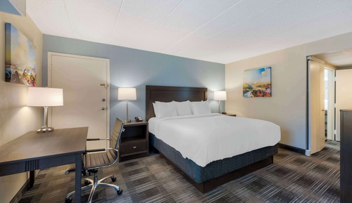 Standard Room, 1 King Bed, Non Smoking, Kitchen (Walk-in Shower)