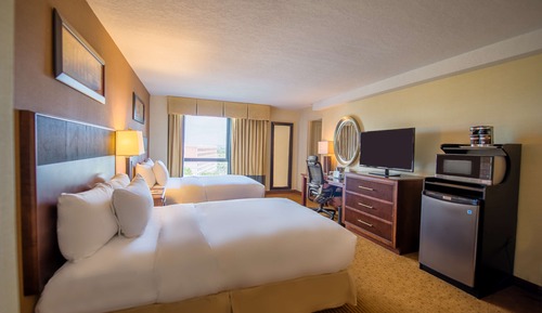 Junior Studio Suite, 2 Double Beds