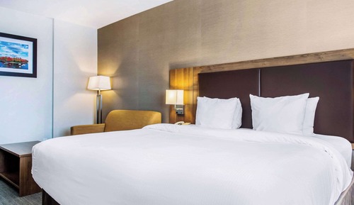 Room, 1 King Bed, Non Smoking