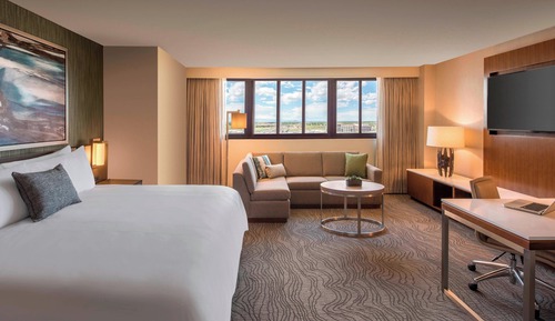 Studio Suite, 1 King Bed with Sofa bed