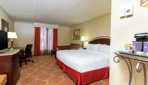 Room, 1 King Bed with Sofa bed, Accessible, Bathtub