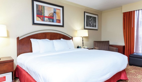 Room, 1 King Bed