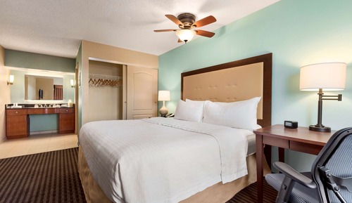 Room, Accessible, Non Smoking (Roll-in Shower)