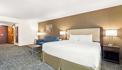 Standard Room, 1 King Bed, Accessible, Bathtub (with Sofabed)