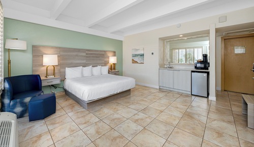 Standard Room, 1 King Bed, Non Smoking, Refrigerator & Microwave (Larger Room)