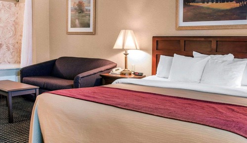 Standard Room, 1 King Bed with Sofa bed, Non Smoking