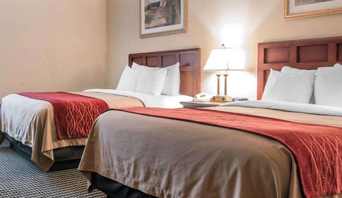 Standard Room, 2 Queen Beds, Non Smoking