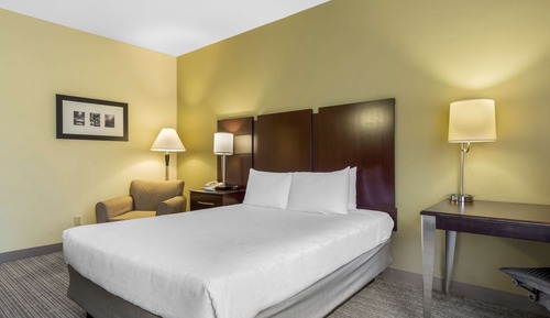 Standard Room, 1 Queen Bed, Non Smoking, Refrigerator
