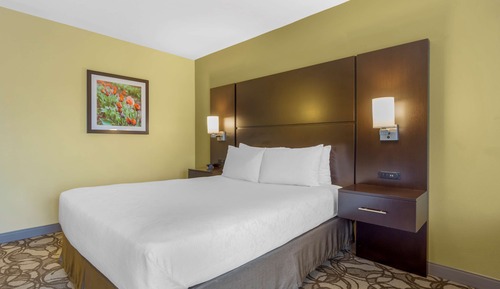 Standard Room, 1 Queen Bed, Accessible, Non Smoking