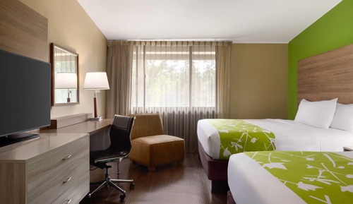 Room, Multiple Beds, Non Smoking