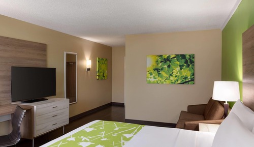 Room, 1 King Bed, Non Smoking