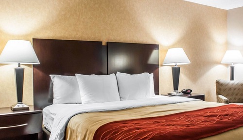 Room, 1 King Bed, Accessible, Non Smoking (Roll in Shower)