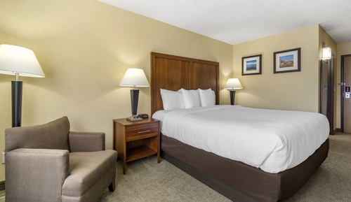 Standard Room, 1 King Bed, Non Smoking