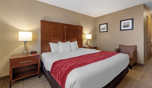 Room, 1 King Bed, Accessible, Non Smoking