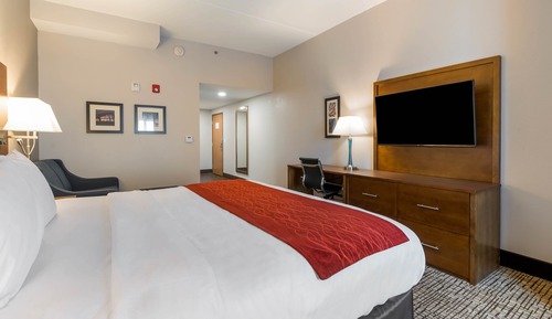 Suite, 1 King Bed with Sofa bed, Non Smoking