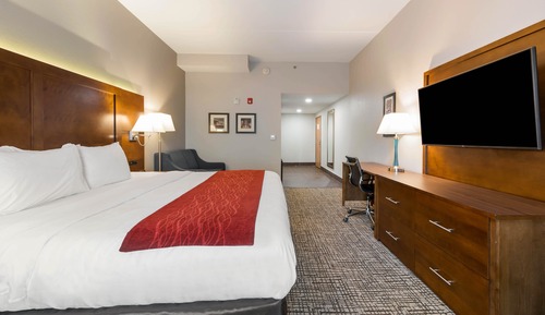 Room, 1 King Bed, Accessible, Non Smoking