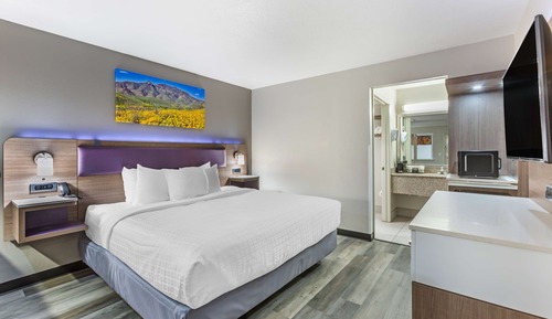 Standard Room, 1 King Bed, Non Smoking, Refrigerator & Microwave (Larger Room;with Sofabed)