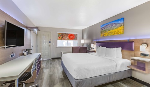 Standard Room, 1 King Bed, Accessible, Refrigerator & Microwave