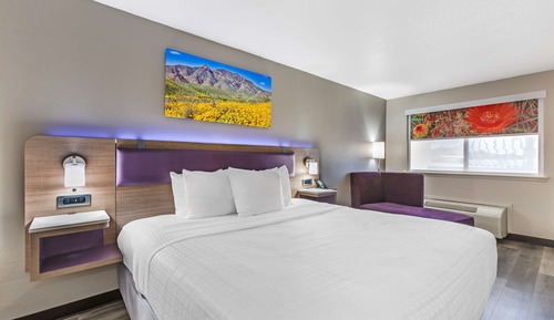 Standard Room, 1 King Bed, Non Smoking, Refrigerator & Microwave