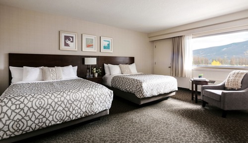 Studio, 2 Queen Beds