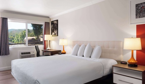 Business Room, 1 King Bed, Non Smoking