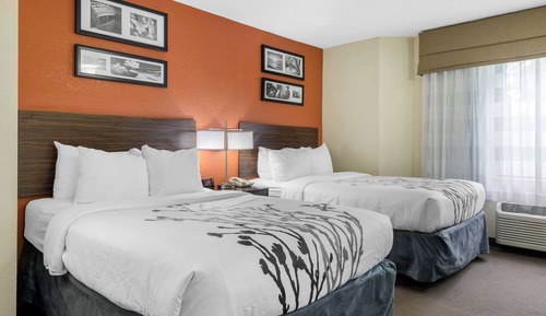 Standard Room, 2 Double Beds, Non Smoking