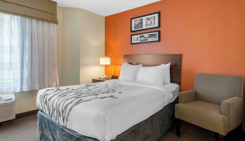 Room, 1 Double Bed, Accessible, Non Smoking (Roll-In Shower)