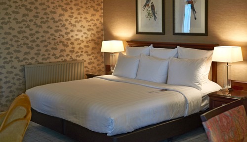 Junior Double Room, 1 King Bed