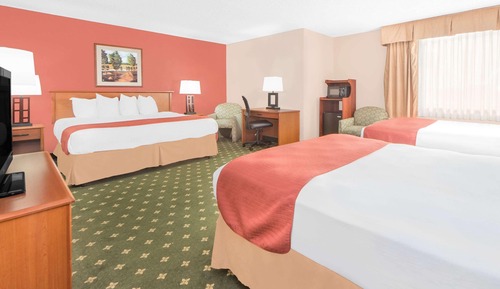 Studio Suite, Multiple Beds, Non Smoking