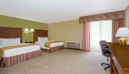Studio Suite, Multiple Beds, Non Smoking