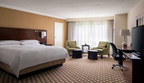 Room, 1 King Bed
