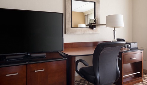 Room, 1 King Bed