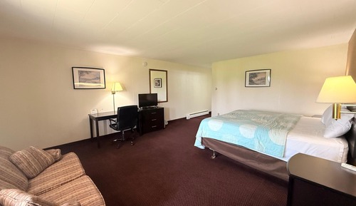 Room, 1 King Bed