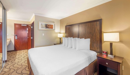 Executive Room, 1 King Bed, Non Smoking, Refrigerator & Microwave (with Sofabed)