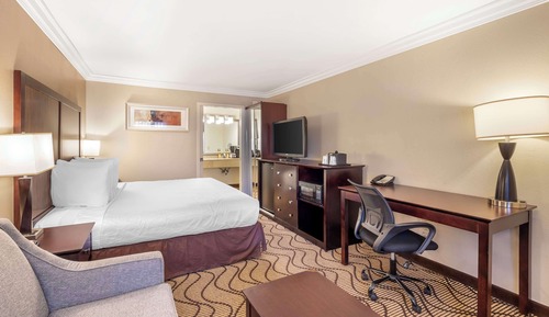 Standard Room, 1 King Bed, Non Smoking, Refrigerator & Microwave (with Sofabed)